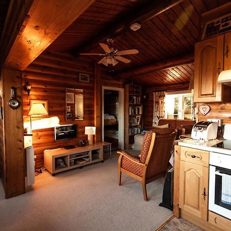 Rustic Log Cabin In Snowdonia By Seren Short Stays Trawsfynydd Zewnętrze zdjęcie