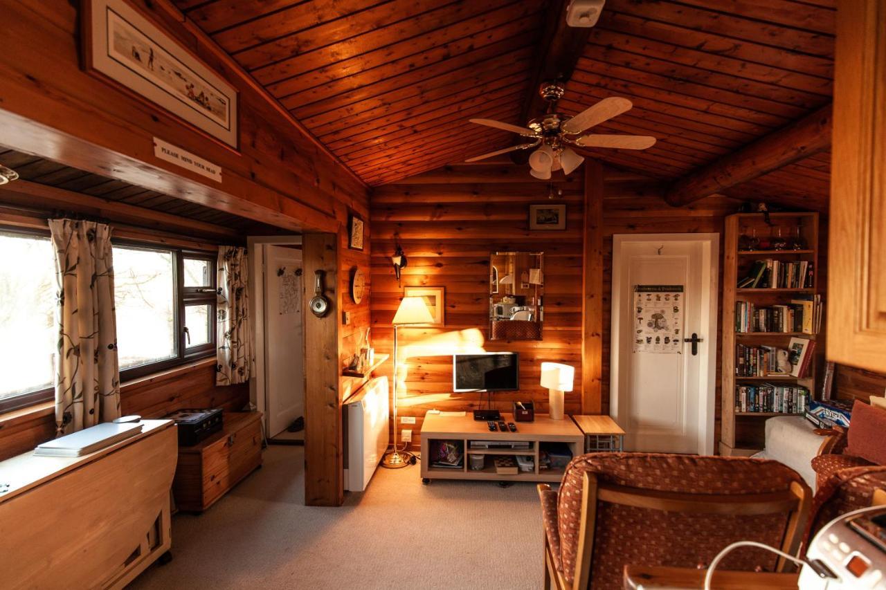 Rustic Log Cabin In Snowdonia By Seren Short Stays Trawsfynydd Zewnętrze zdjęcie