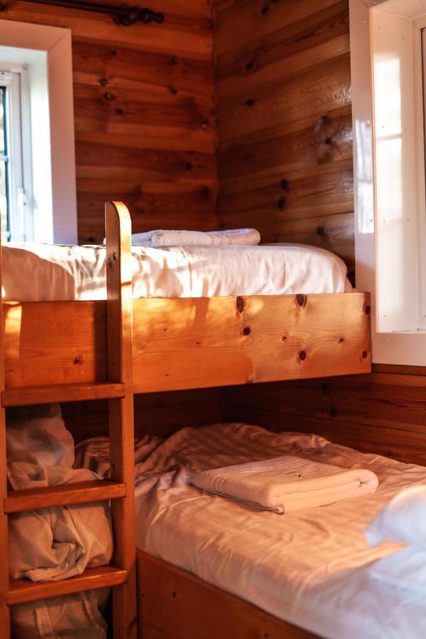 Rustic Log Cabin In Snowdonia By Seren Short Stays Trawsfynydd Zewnętrze zdjęcie