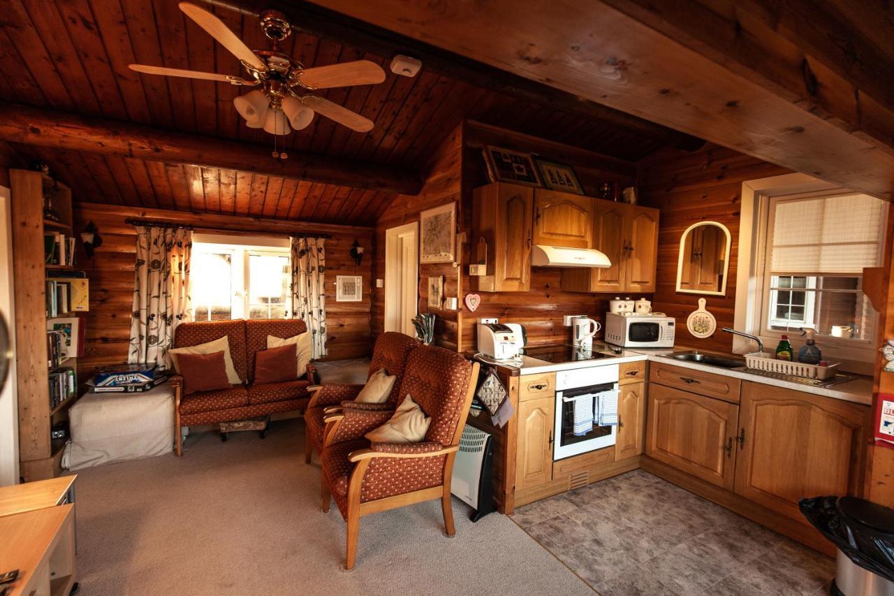 Rustic Log Cabin In Snowdonia By Seren Short Stays Trawsfynydd Zewnętrze zdjęcie