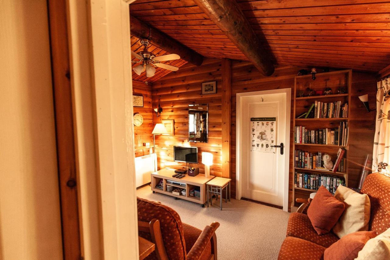 Rustic Log Cabin In Snowdonia By Seren Short Stays Trawsfynydd Zewnętrze zdjęcie